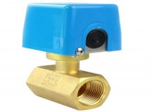 FB12系列擋板式流量開(kāi)關(guān)