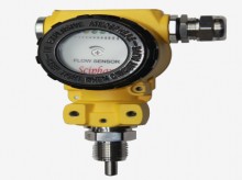 FR12C電子式流量開(kāi)關(guān)