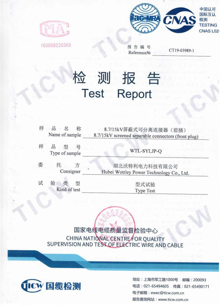 前插頭檢驗(yàn)報(bào)告